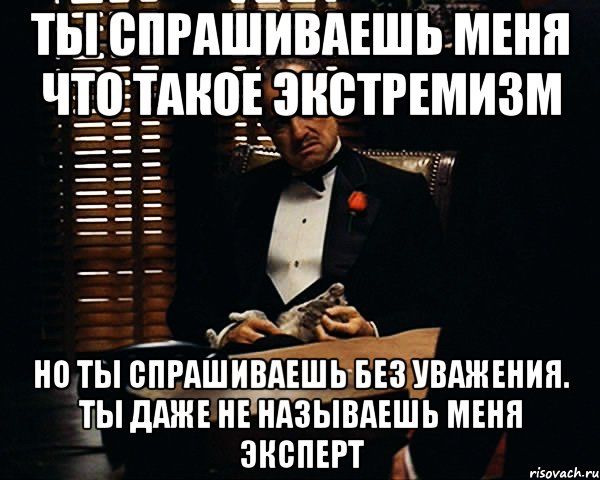 ТЫ СПРАШИВАЕШЬ МЕНЯ ЧТО ТАКОЕ ЭКСТРЕМИЗМ НО ТЫ СПРАШИВАЕШЬ БЕЗ УВАЖЕНИЯ. ТЫ ДАЖЕ НЕ НАЗЫВАЕШЬ МЕНЯ ЭКСПЕРТ, Мем Дон Вито Корлеоне