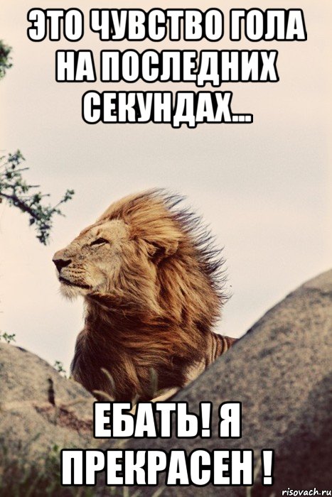 Это чувство гола на последних секундах... ЕБАТЬ! Я ПРЕКРАСЕН !
