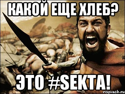 КАКОЙ ЕЩЕ ХЛЕБ? ЭТО #SEKTA!, Мем Это Спарта