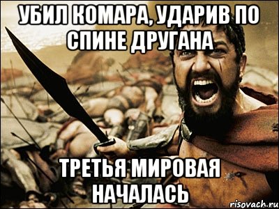 убил комара, ударив по спине другана ТРЕТЬЯ МИРОВАЯ НАЧАЛАСЬ, Мем Это Спарта