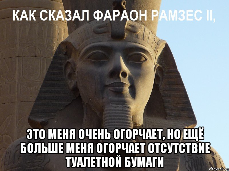  это меня очень огорчает, но ещё больше меня огорчает отсутствие туалетной бумаги, Мем Фараон Рамзес Второй