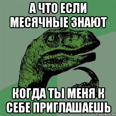 А что если месячные знают Когда ты меня к себе приглашаешь, Мем Филосораптор