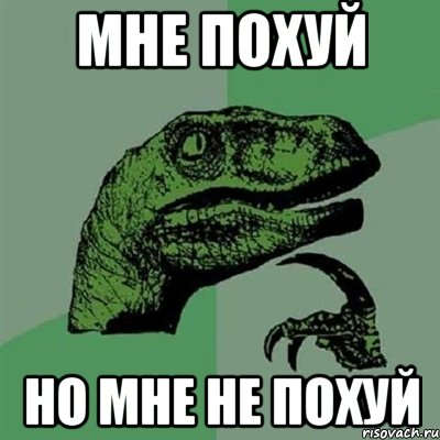 МНЕ ПОХУЙ НО МНЕ НЕ ПОХУЙ, Мем Филосораптор