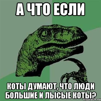 А что если коты думают, что люди большие и лысые коты?, Мем Филосораптор