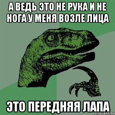 А ВЕДЬ ЭТО НЕ РУКА И НЕ НОГА У МЕНЯ ВОЗЛЕ ЛИЦА ЭТО ПЕРЕДНЯЯ ЛАПА, Мем Филосораптор