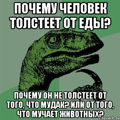 Почему человек толстеет от еды? Почему он не толстеет от того, что мудак? Или от того, что мучает животных?, Мем Филосораптор