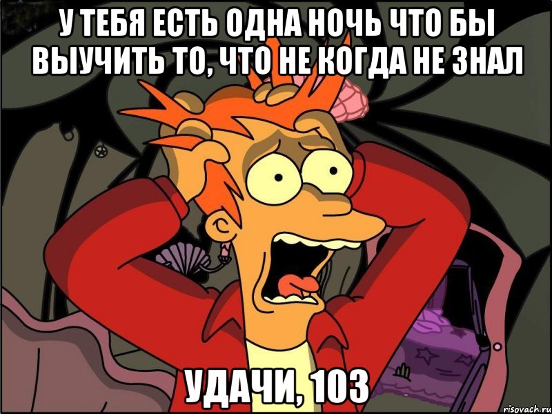 У тебя есть одна ночь что бы выучить то, что не когда не знал удачи, 103, Мем Фрай в панике