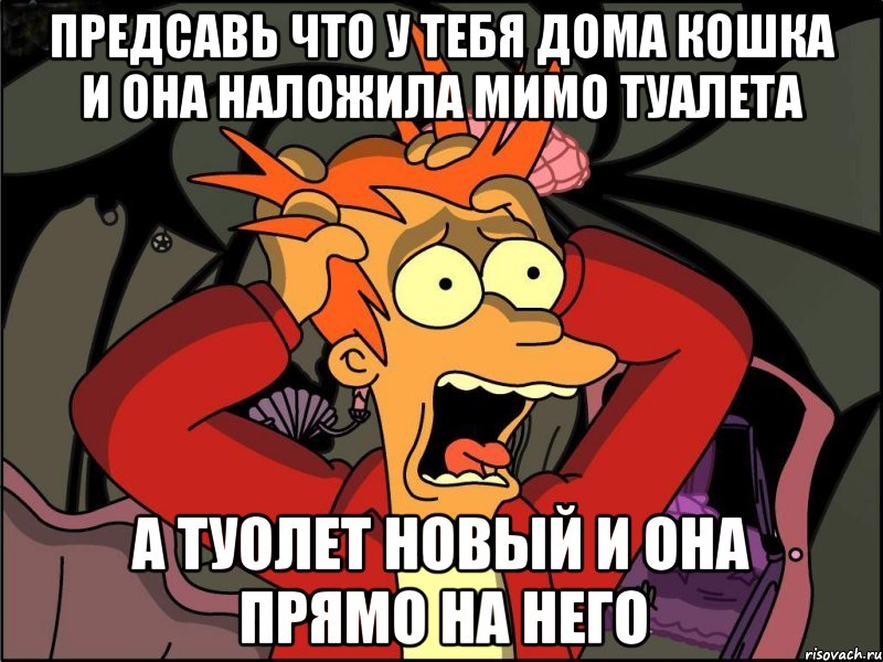 Предсавь что у тебя дома кошка и она наложила мимо туалета А туолет новый и она прямо на него