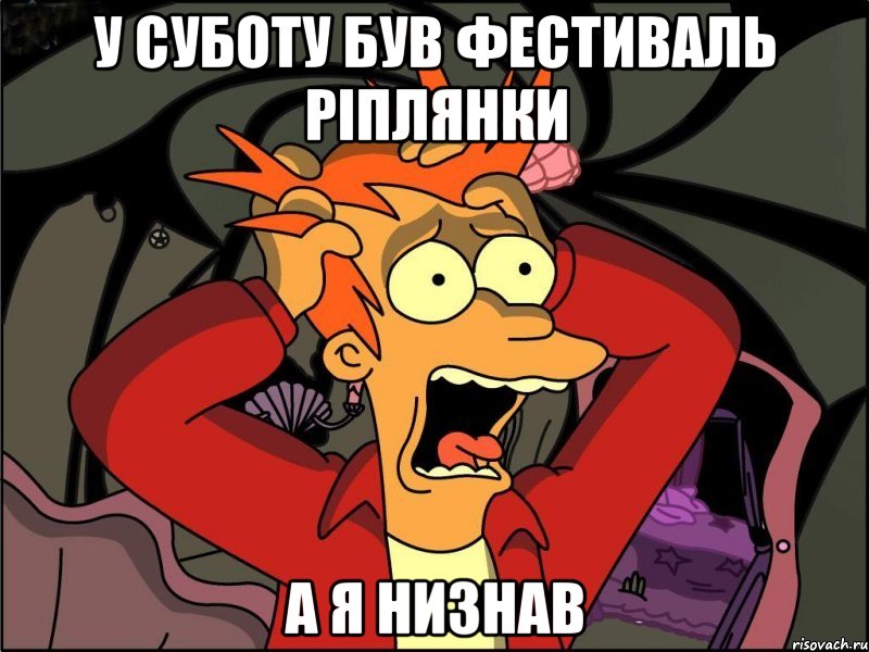 у суботу був фестиваль ріплянки а я низнав, Мем Фрай в панике