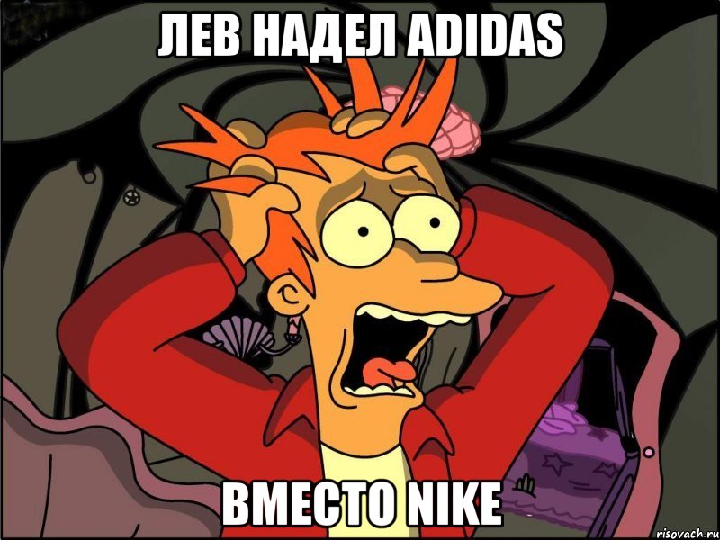 Лев надел Adidas Вместо Nike, Мем Фрай в панике