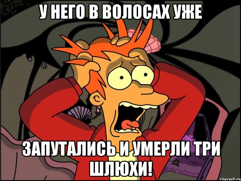 у него в волосах уже запутались и умерли три шлюхи!, Мем Фрай в панике