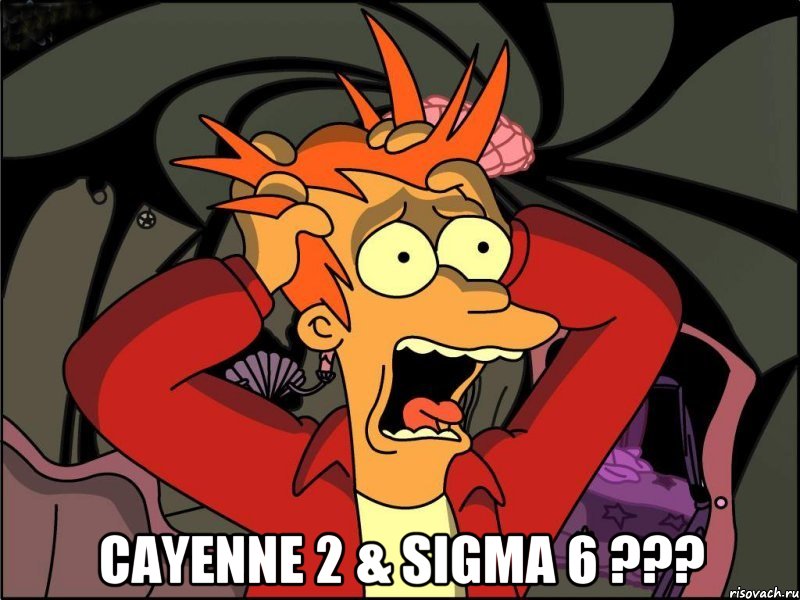 CAYENNE 2 & SIGMA 6 ???, Мем Фрай в панике
