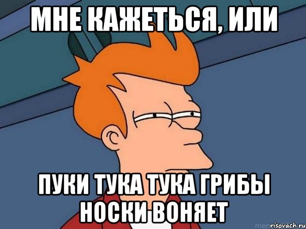 Мне кажеться, или Пуки тука тука грибы носки воняет, Мем  Фрай (мне кажется или)