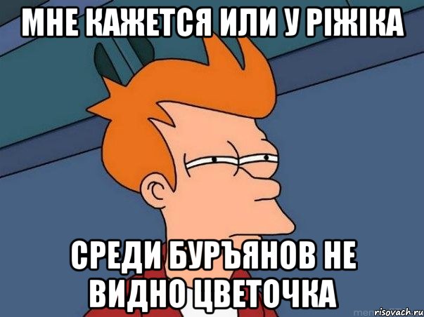 мне кажется или у ріжіка среди буръянов не видно цветочка, Мем  Фрай (мне кажется или)