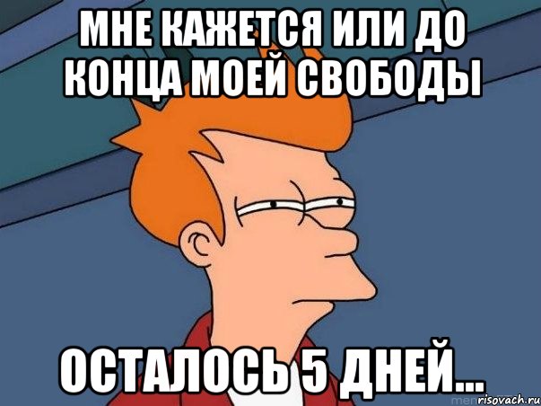 мне кажется или до конца моей свободы осталось 5 дней..., Мем  Фрай (мне кажется или)