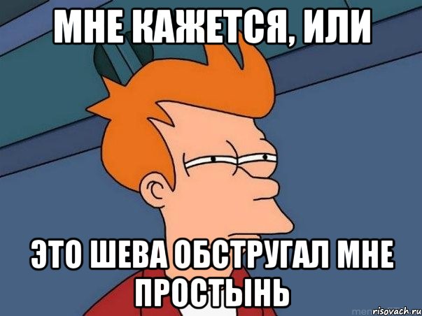 Мне КАЖЕТСЯ, ИЛИ это Шева обстругал мне простынь, Мем  Фрай (мне кажется или)