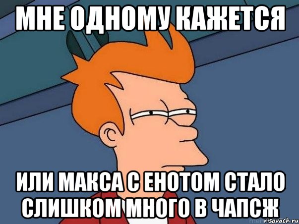 Мне одному кажется Или Макса с Енотом стало слишком много в Чапсж, Мем  Фрай (мне кажется или)