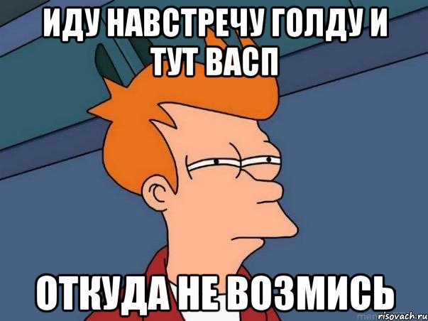 ИДУ НАВСТРЕЧУ ГОЛДУ И ТУТ ВАСП ОТКУДА НЕ ВОЗМИСЬ, Мем  Фрай (мне кажется или)