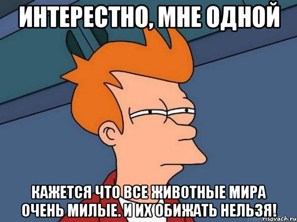 Интерестно, мне одной кажется что все животные мира очень милые. И их обижать нельзя!, Мем  Фрай (мне кажется или)