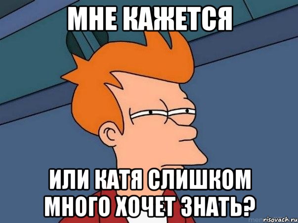 МНЕ КАЖЕТСЯ или Катя слишком много хочет знать?, Мем  Фрай (мне кажется или)