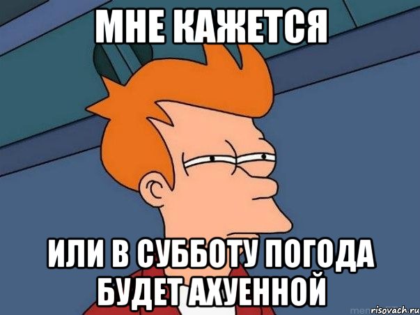 мне кажется или в субботу погода будет ахуенной, Мем  Фрай (мне кажется или)