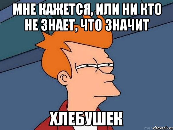 Мне кажется, или ни кто не знает, что значит ХЛЕБУШЕК, Мем  Фрай (мне кажется или)