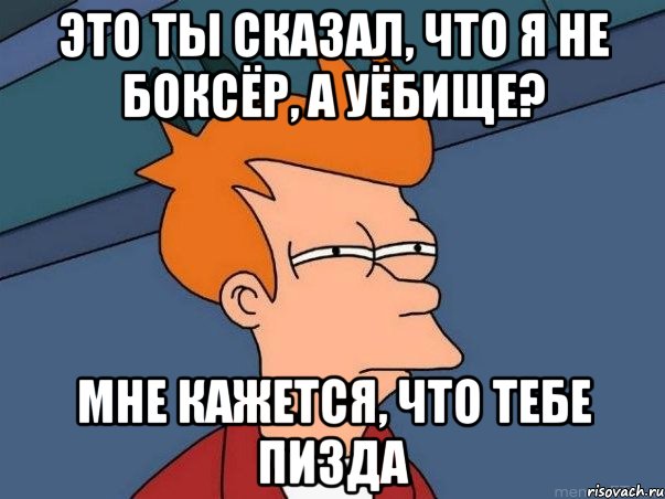 ЭТО ТЫ СКАЗАЛ, ЧТО Я НЕ БОКСЁР, А УЁБИЩЕ? МНЕ КАЖЕТСЯ, ЧТО ТЕБЕ ПИЗДА, Мем  Фрай (мне кажется или)