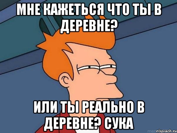 мне кажеться что ты в деревне? или ты реально в деревне? сука, Мем  Фрай (мне кажется или)