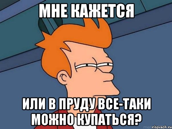 МНЕ КАЖЕТСЯ ИЛИ В ПРУДУ ВСЕ-ТАКИ МОЖНО КУПАТЬСЯ?, Мем  Фрай (мне кажется или)