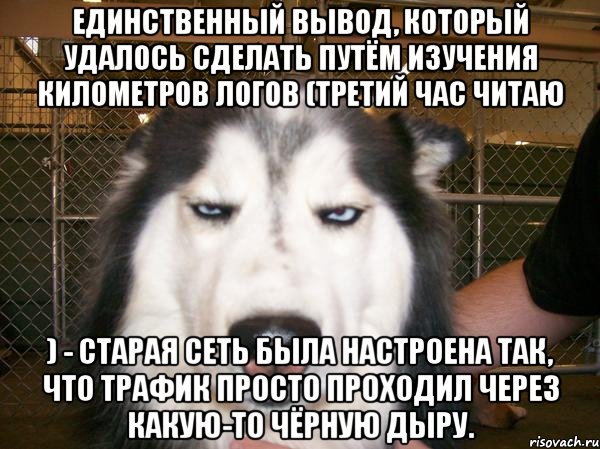 Единственный вывод, который удалось сделать путём изучения километров логов (третий час читаю ) - старая сеть была настроена так, что трафик просто проходил через какую-то чёрную дыру., Мем фы