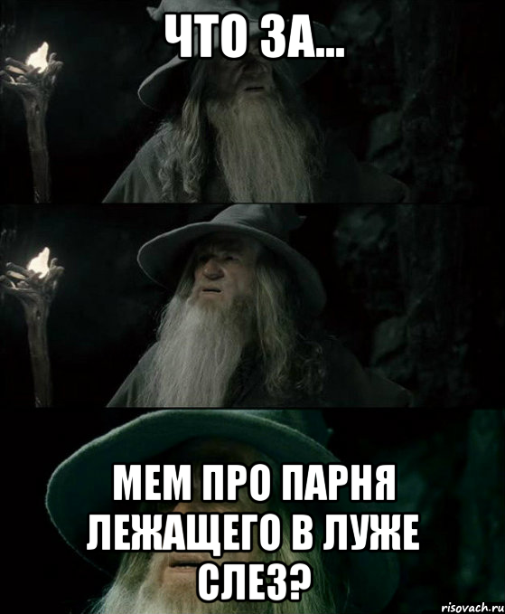 ЧТО ЗА... МЕМ ПРО ПАРНЯ ЛЕЖАЩЕГО В ЛУЖЕ СЛЕЗ?, Комикс Гендальф заблудился