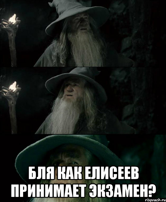  Бля как Елисеев принимает экзамен?, Комикс Гендальф заблудился