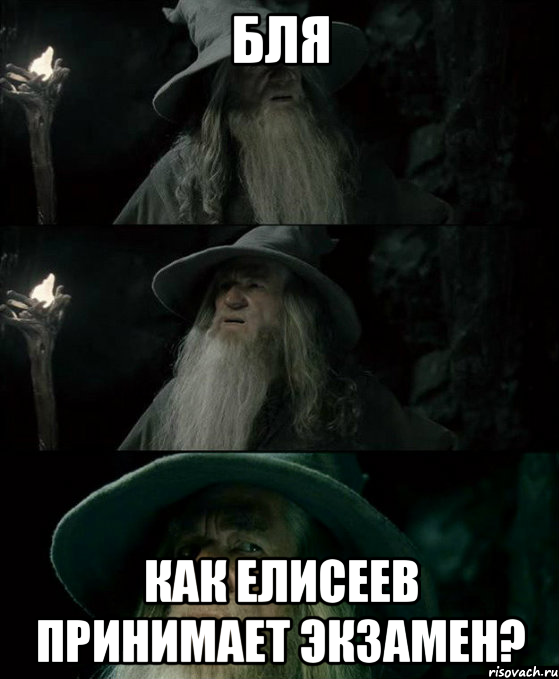 Бля как Елисеев принимает экзамен?, Комикс Гендальф заблудился