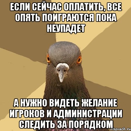 Если сейчас оплатить, все опять поиграются пока неупадет А нужно видеть желание игроков и администрации следить за порядком, Мем голубь