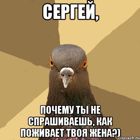 Сергей, почему ты не спрашиваешь, как поживает твоя жена?), Мем голубь