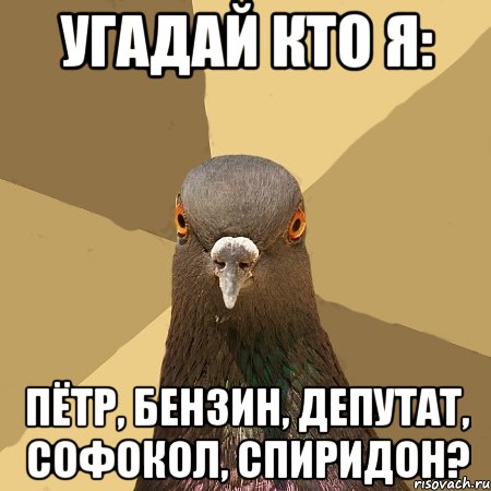 Угадай кто я: Пётр, Бензин, Депутат, Софокол, Спиридон?, Мем голубь