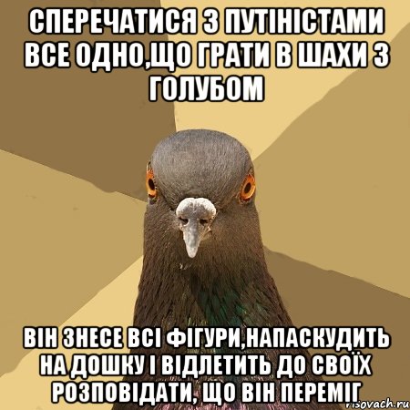 Сперечатися з путіністами все одно,що грати в шахи з голубом Він знесе всі фігури,напаскудить на дошку і відлетить до своїх розповідати, що він переміг, Мем голубь