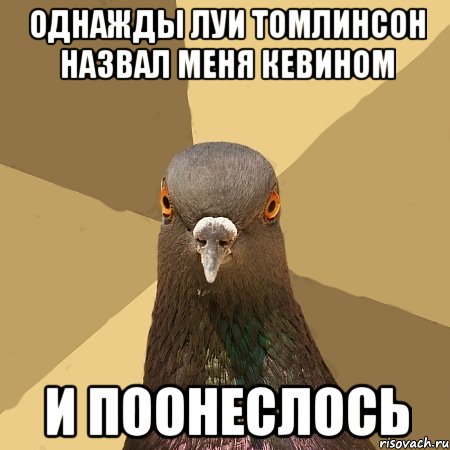 Однажды луи томлинсон назвал меня Кевином И поонеслось, Мем голубь