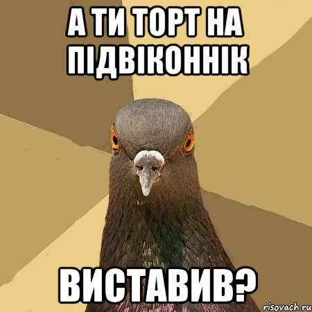 а ти торт на підвіконнік виставив?, Мем голубь