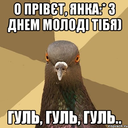 о прівєт, Янка:* З Днем Молоді тібя) гуль, гуль, гуль.., Мем голубь