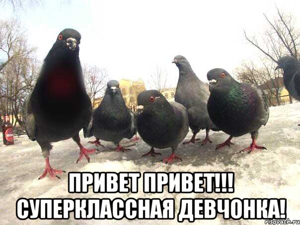  Привет привет!!! Суперклассная девчонка!