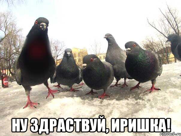  Ну здраствуй, Иришка!