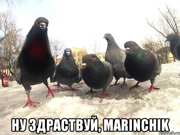  Ну здраствуй, Marinchik