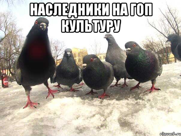 Наследники на гоп культуру 