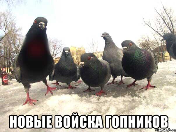  Новые войска гопников