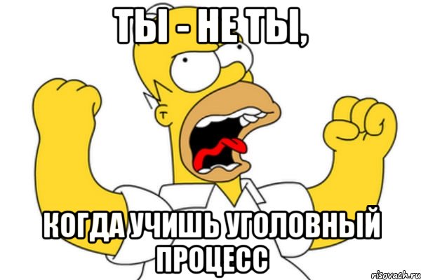 Ты - не ты, когда учишь уголовный процесс, Мем Разъяренный Гомер