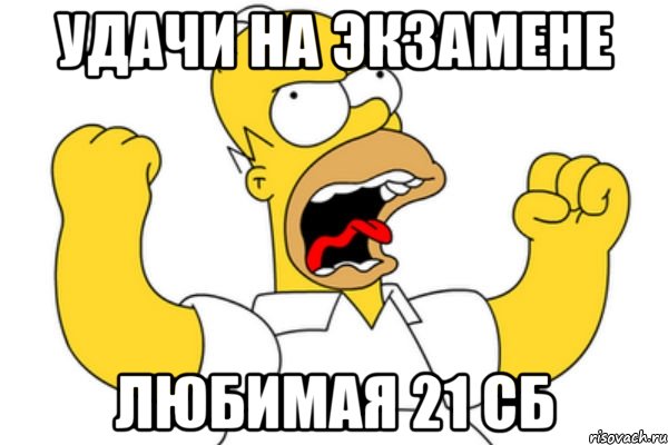 Удачи на экзамене любимая 21 сб, Мем Разъяренный Гомер