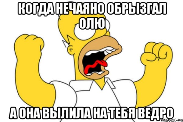 когда нечаяно обрызгал Олю а она вылила на тебя ведро, Мем Разъяренный Гомер