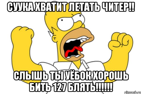 СУУКА ХВАТИТ ЛЕТАТЬ ЧИТЕР!! СЛЫШЬ ТЫ УЁБОК ХОРОШЬ БИТЬ 127 БЛЯТЬ!!!!!!, Мем Разъяренный Гомер