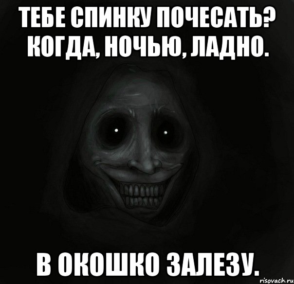 Тебе спинку почесать? Когда, ночью, ладно. В окошко залезу., Мем Ночной гость